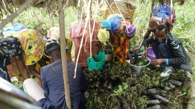 members-collect-their-bagged-trees-for-planting